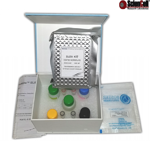 Sciencell Human ELISA Kits Part II - Image 2
