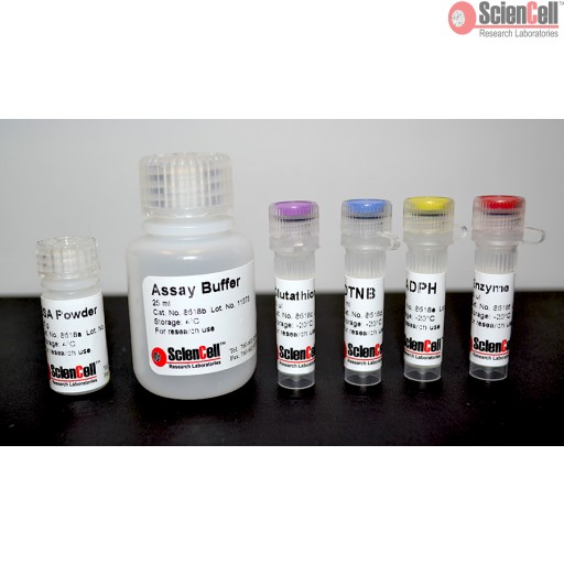 Sciencell Oxidative Stress Assay Kit - Image 5