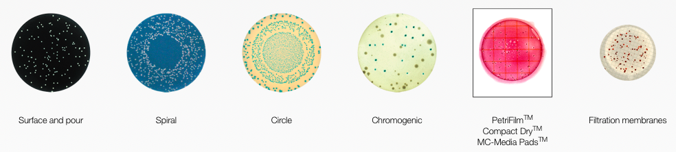 colony counting