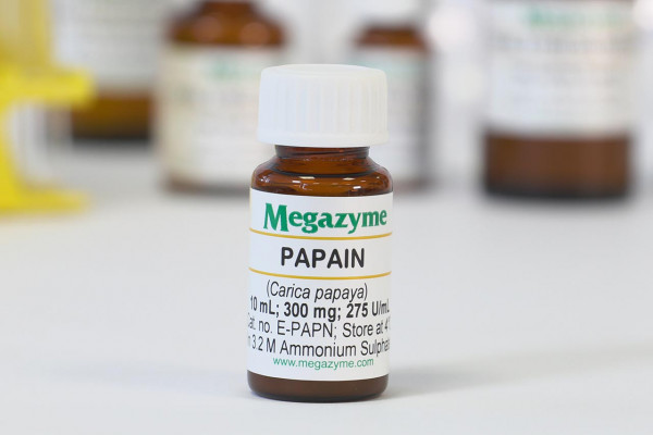 Megazyme Papain (Carica papaya)