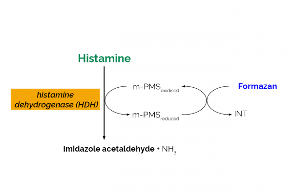 Megazyme Histamine Assay Kit, 100 assays - Image 2