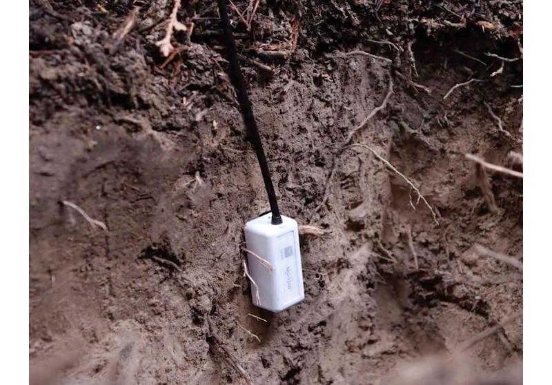 HOBO MX Soil Moisture and Temperature Data Logger - Image 3