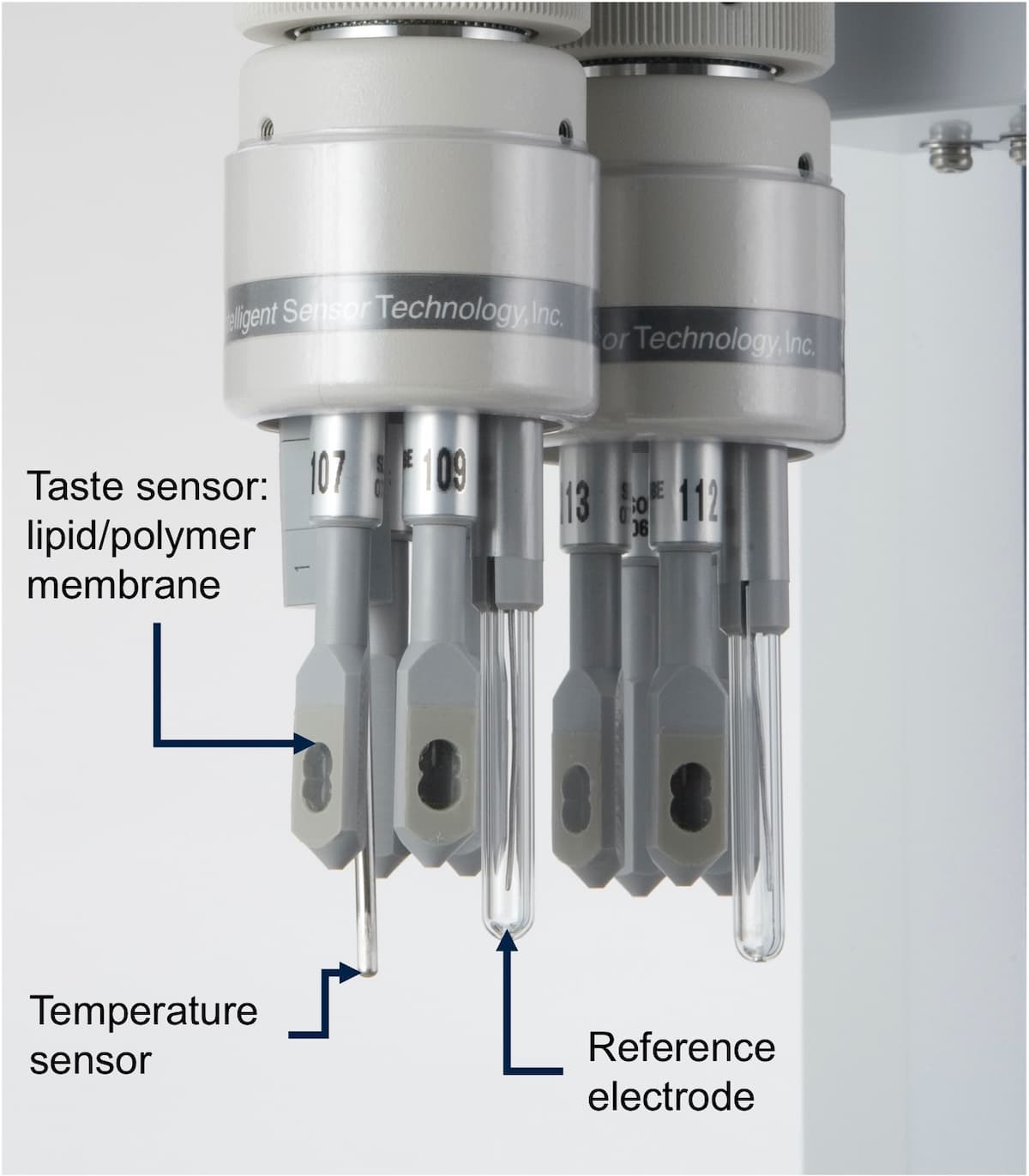 e-Tongue, Insent Taste Sensing System, TS-5000Z - Image 3