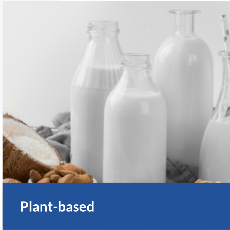 Plant-based Product Processing